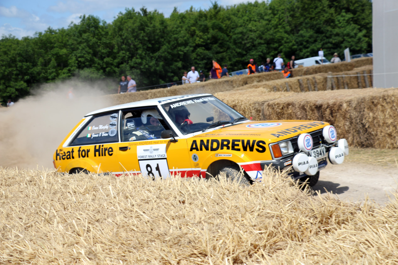 Illustration for article titled Tons Of Classic Rally Cars? Tons Of Classic Rally Cars!